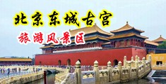 插逼出水的视频中国北京-东城古宫旅游风景区